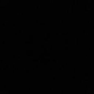 Meet your Posher, Empress